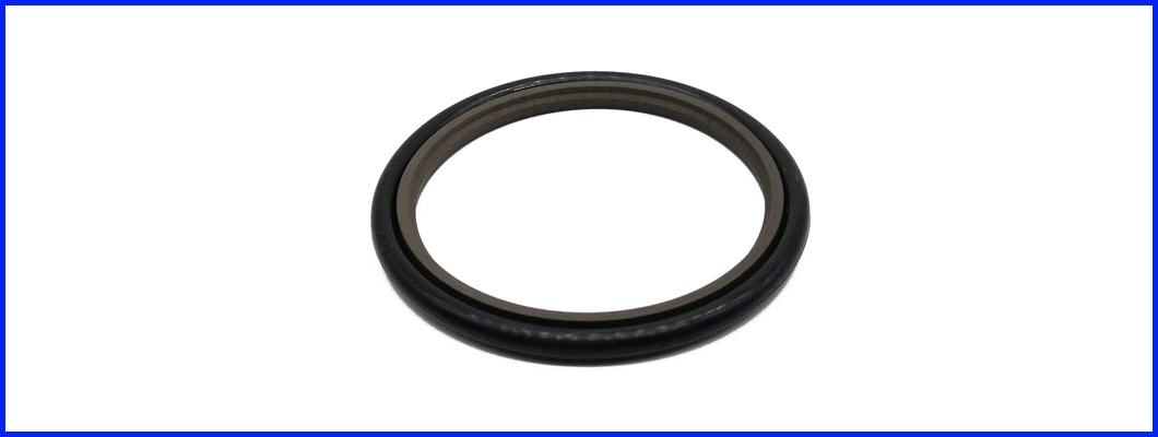 Hydraulic Cylinder Bronze PTFE Teflon Oil Rod Buffer Step Seal Hbts