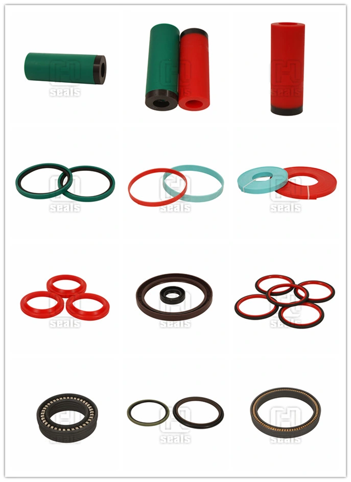 Seal Ring, Bronze Filled Rod Seals, Teflon Seals, PTFE Dust Wiper Seals